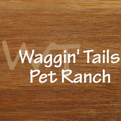 waggin tails benbrook texas|Petzooie .